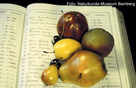 ernst gebhard3