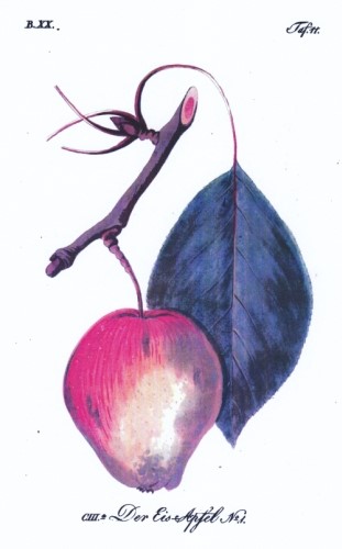 teutscher obstgaertner